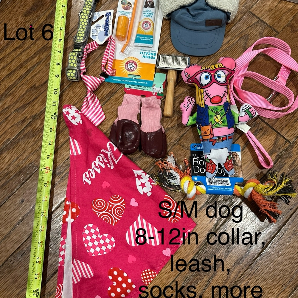 Dog Accessory Bundle with Pink Bandana